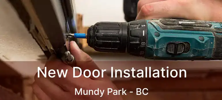  New Door Installation Mundy Park - BC