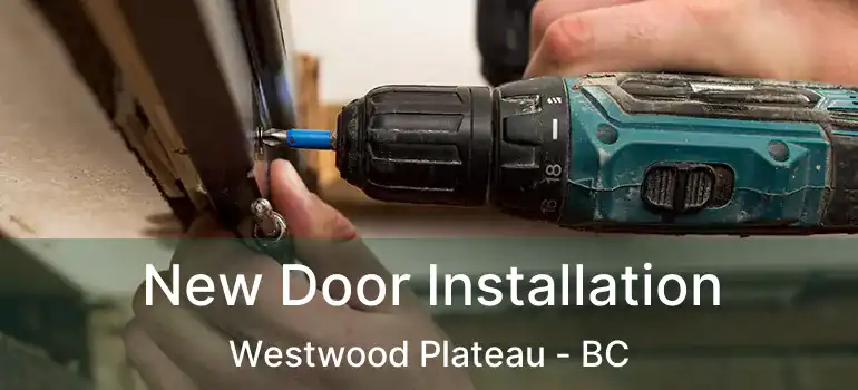  New Door Installation Westwood Plateau - BC