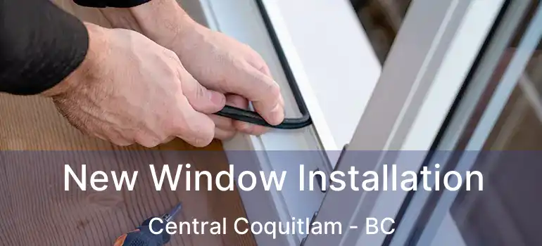  New Window Installation Central Coquitlam - BC