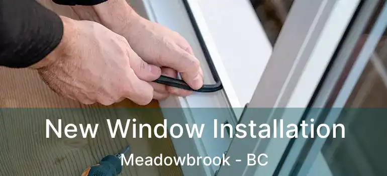  New Window Installation Meadowbrook - BC