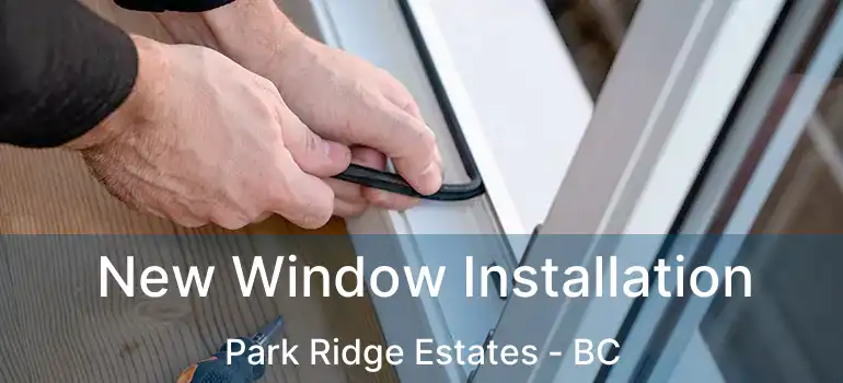  New Window Installation Park Ridge Estates - BC