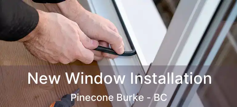  New Window Installation Pinecone Burke - BC