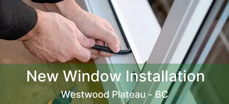 New Window Installation Westwood Plateau - BC