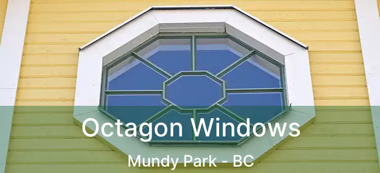  Octagon Windows Mundy Park - BC