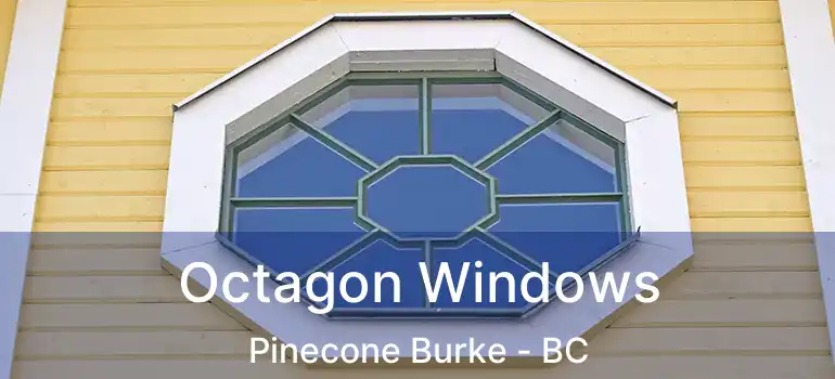 Octagon Windows Pinecone Burke - BC