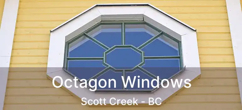  Octagon Windows Scott Creek - BC