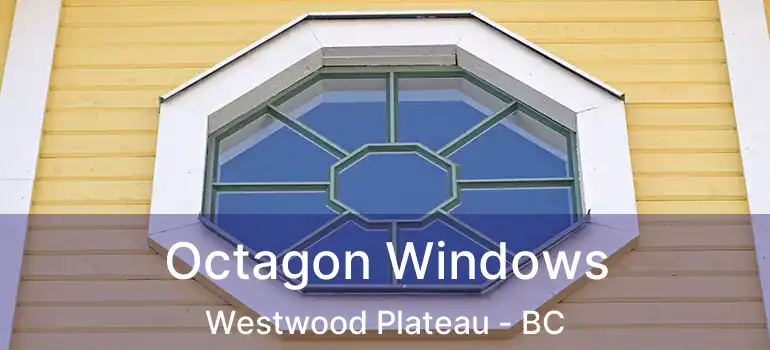  Octagon Windows Westwood Plateau - BC
