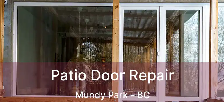  Patio Door Repair Mundy Park - BC