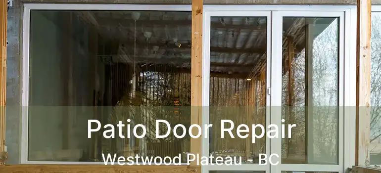  Patio Door Repair Westwood Plateau - BC