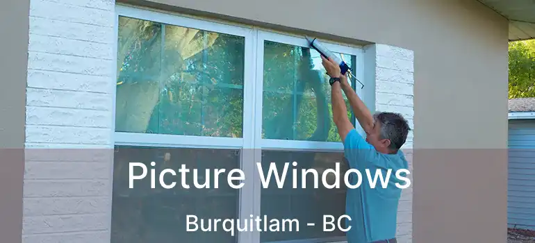  Picture Windows Burquitlam - BC
