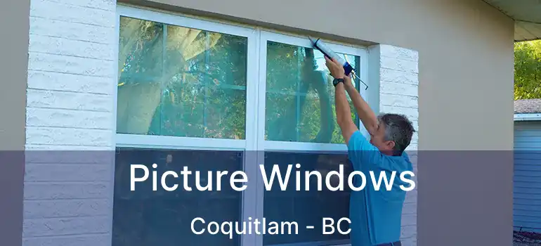  Picture Windows Coquitlam - BC