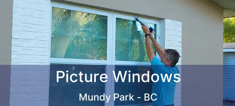  Picture Windows Mundy Park - BC