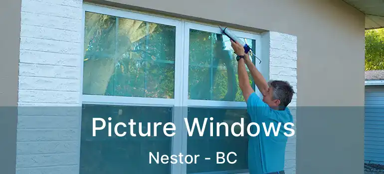  Picture Windows Nestor - BC
