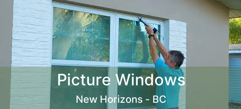  Picture Windows New Horizons - BC