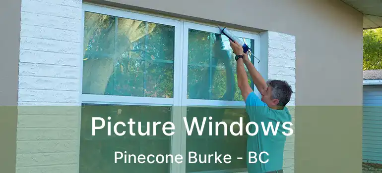  Picture Windows Pinecone Burke - BC