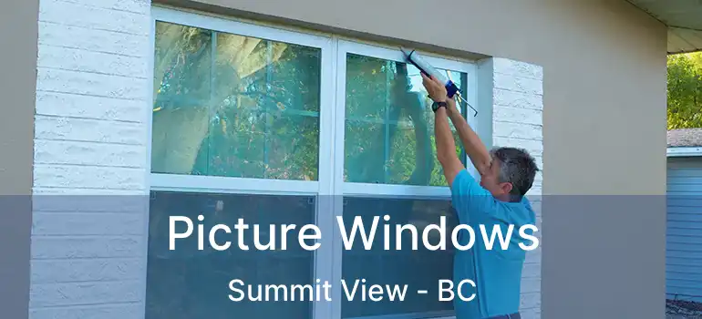  Picture Windows Summit View - BC