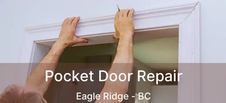  Pocket Door Repair Eagle Ridge - BC