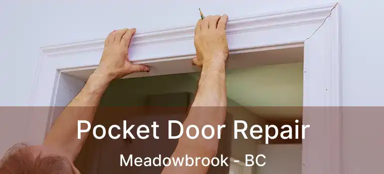  Pocket Door Repair Meadowbrook - BC