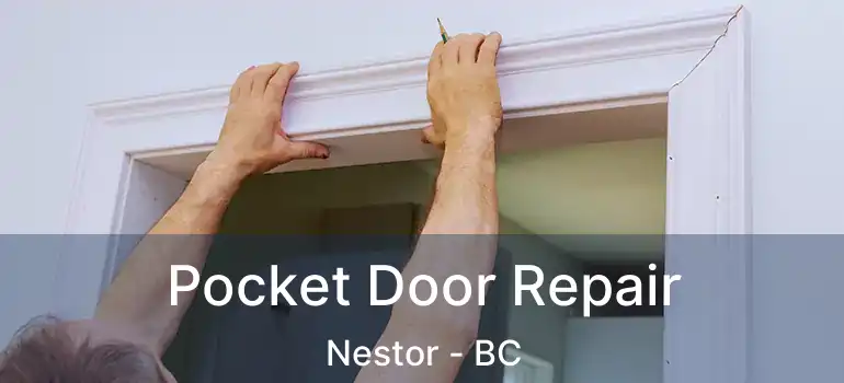  Pocket Door Repair Nestor - BC