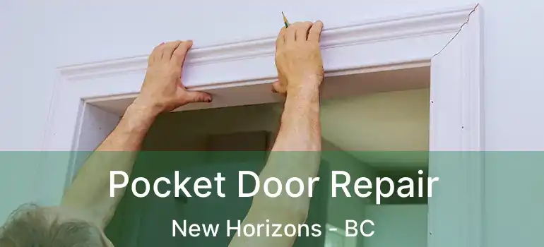  Pocket Door Repair New Horizons - BC