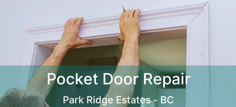  Pocket Door Repair Park Ridge Estates - BC