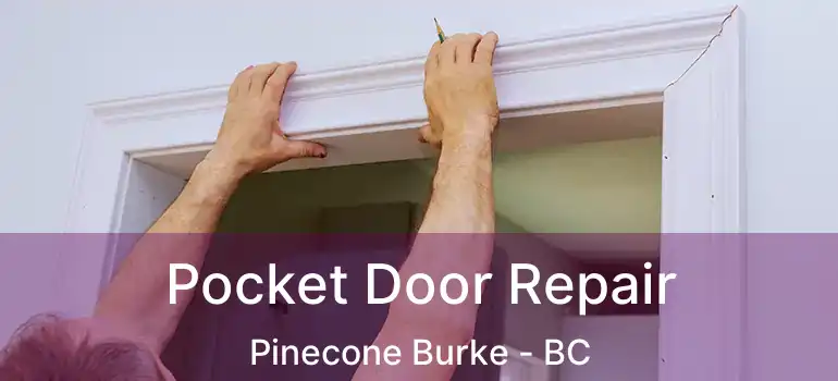  Pocket Door Repair Pinecone Burke - BC