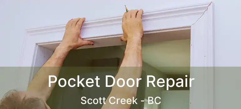  Pocket Door Repair Scott Creek - BC