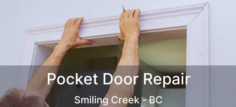  Pocket Door Repair Smiling Creek - BC