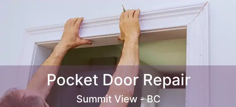  Pocket Door Repair Summit View - BC