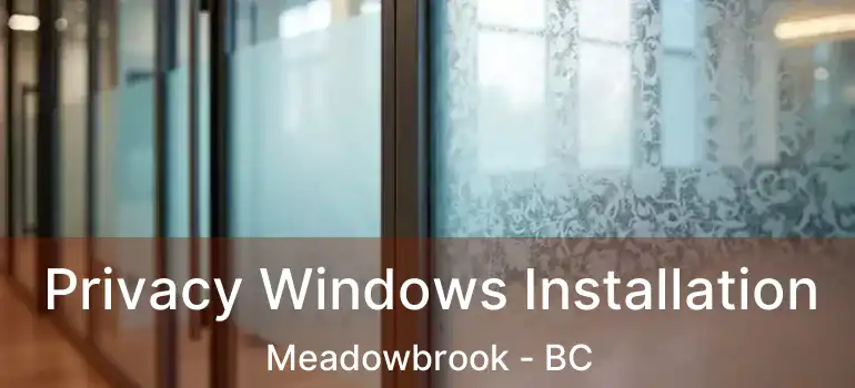  Privacy Windows Installation Meadowbrook - BC