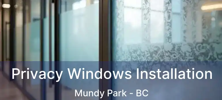  Privacy Windows Installation Mundy Park - BC
