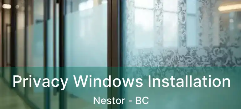  Privacy Windows Installation Nestor - BC