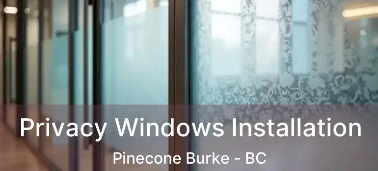  Privacy Windows Installation Pinecone Burke - BC