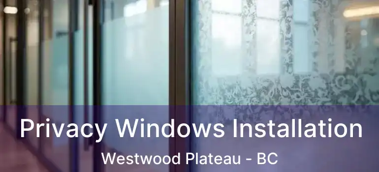  Privacy Windows Installation Westwood Plateau - BC