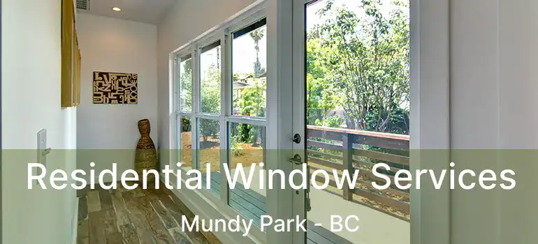  Residential Window Services Mundy Park - BC