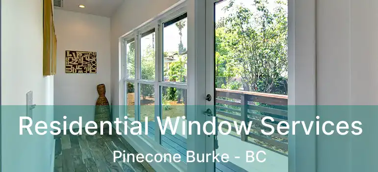  Residential Window Services Pinecone Burke - BC