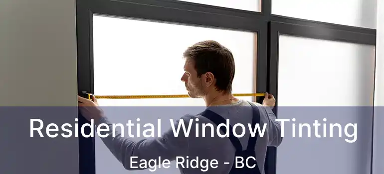  Residential Window Tinting Eagle Ridge - BC