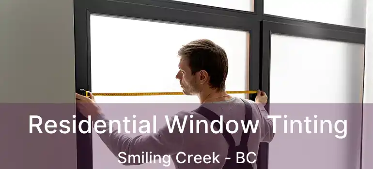  Residential Window Tinting Smiling Creek - BC