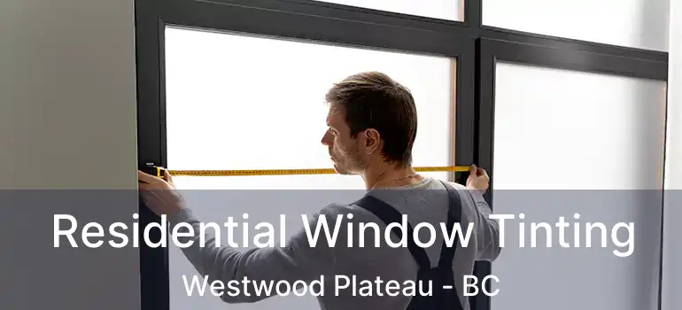  Residential Window Tinting Westwood Plateau - BC