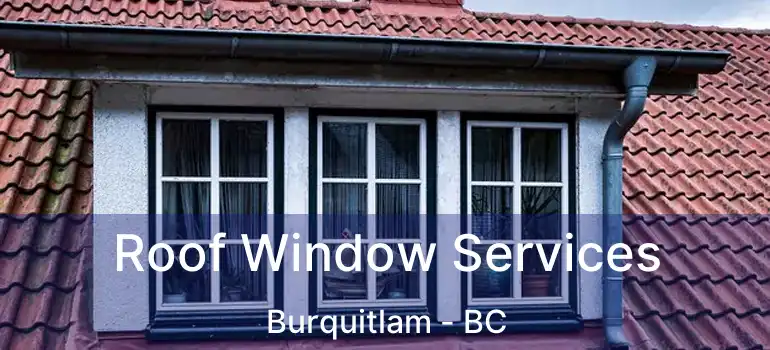  Roof Window Services Burquitlam - BC