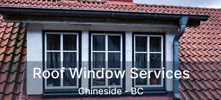 Roof Window Services Chineside - BC