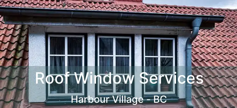 Roof Window Services Harbour Village - BC