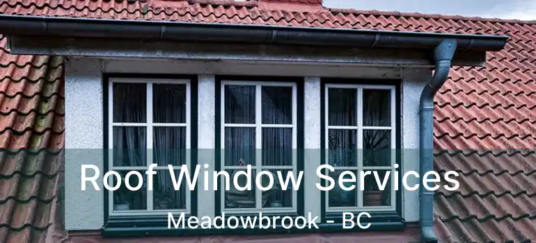  Roof Window Services Meadowbrook - BC