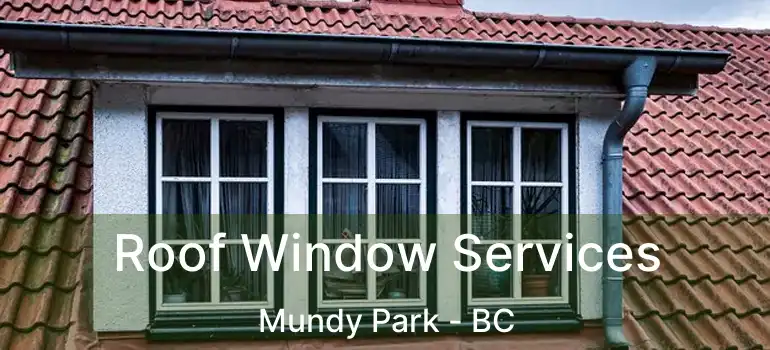  Roof Window Services Mundy Park - BC