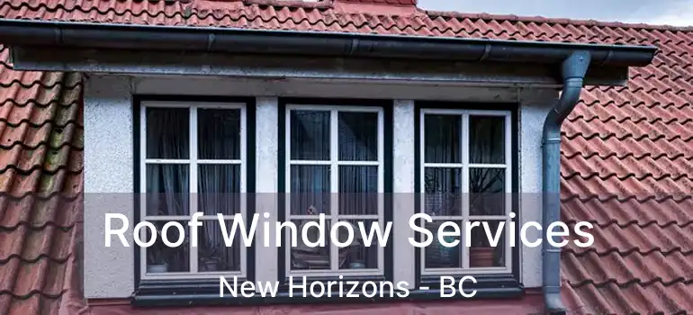  Roof Window Services New Horizons - BC