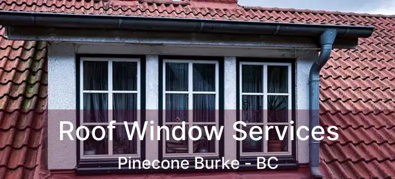  Roof Window Services Pinecone Burke - BC