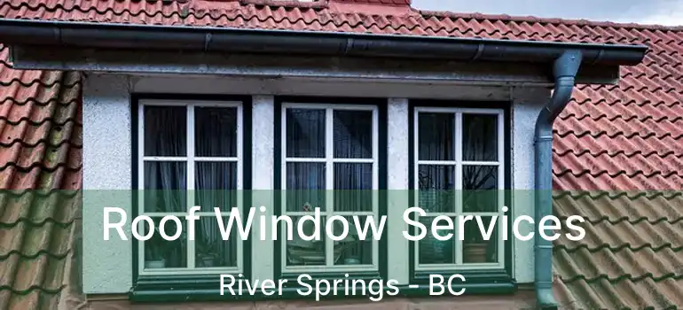  Roof Window Services River Springs - BC