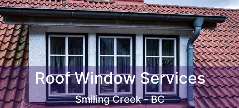  Roof Window Services Smiling Creek - BC