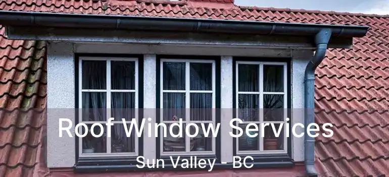  Roof Window Services Sun Valley - BC