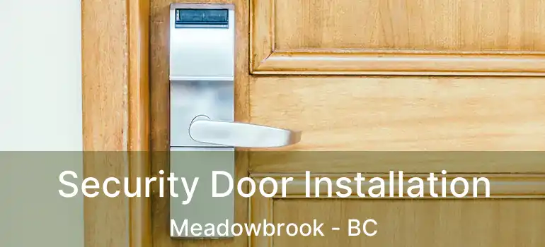  Security Door Installation Meadowbrook - BC
